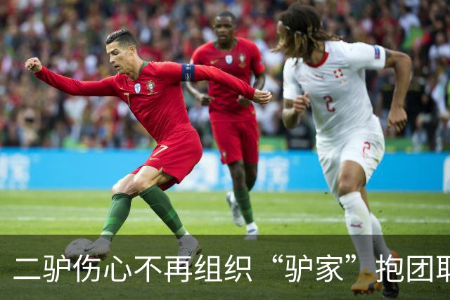 二驴伤心不再组织“驴家”抱团取暖！奶豆鼓动“驴家”全员去柬埔寨。驴姐 三亚结束！