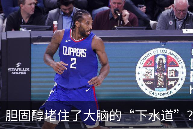 胆固醇堵住了大脑的“下水道”？阿尔茨海默小鼠实验给出线索
