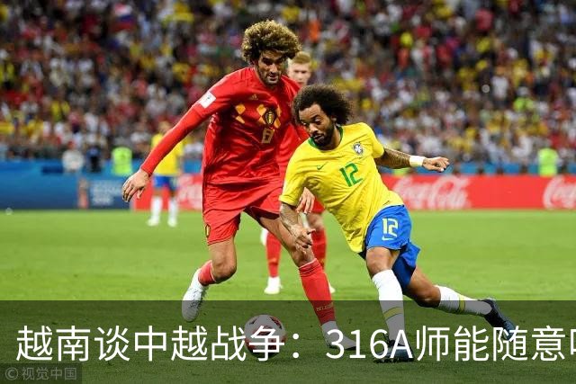 越南谈中越战争：316A师能随意吃掉中国任意一个主力师，最终结果如何？